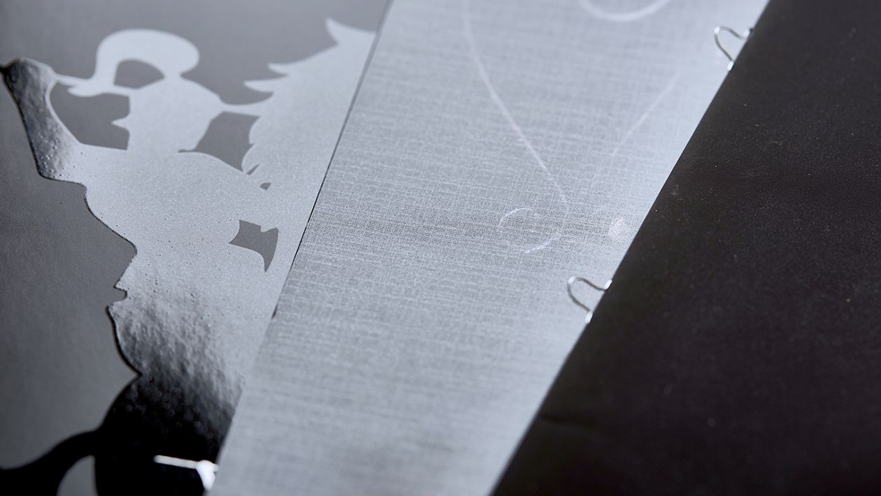 films-papierkaschier-galerie1364x908-01-0002-ebene-6.b76ba4b9